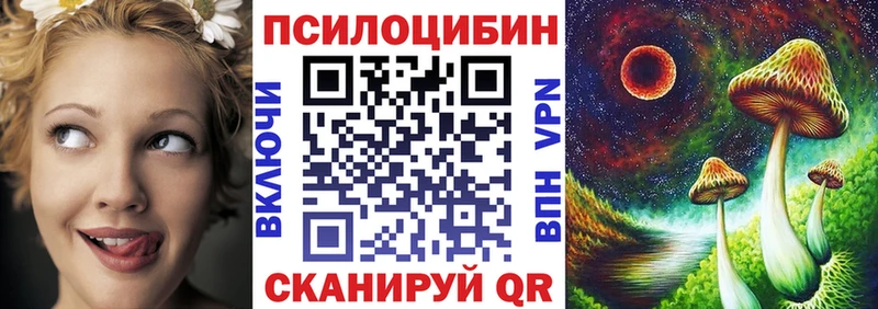 Галлюциногенные грибы Cubensis  Буйнакск 
